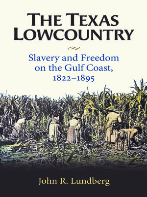 cover image of The Texas Lowcountry
